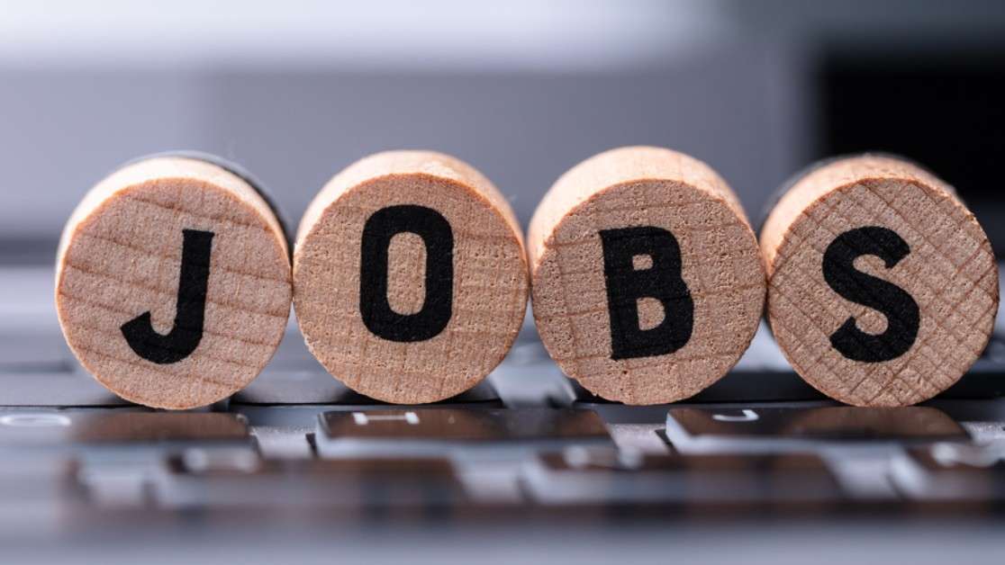 Top các ngành dễ xin việc nhất thị trường lao động 2026