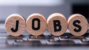 Top các ngành dễ xin việc nhất thị trường lao động 2026